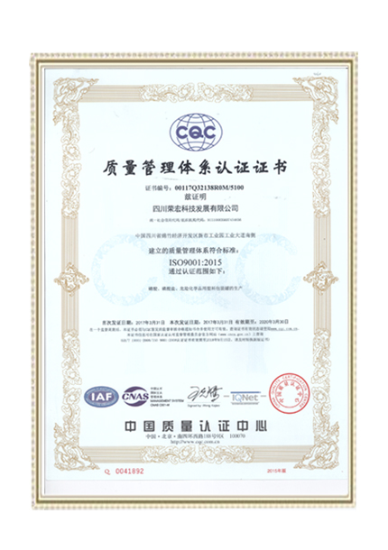 QUALITY SYSTEM--ISO9001-2015